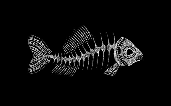 fish-skeleton-eli-deitch